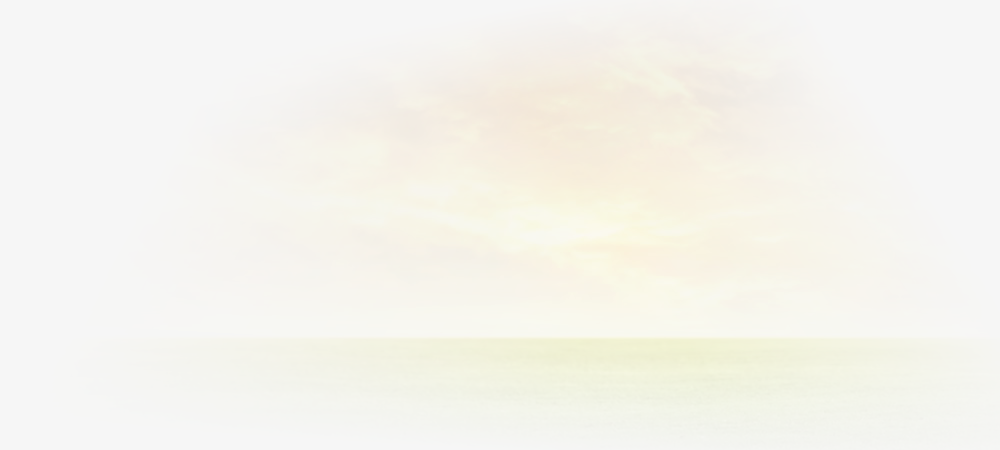 VoIP Operator Background